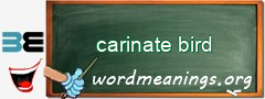 WordMeaning blackboard for carinate bird